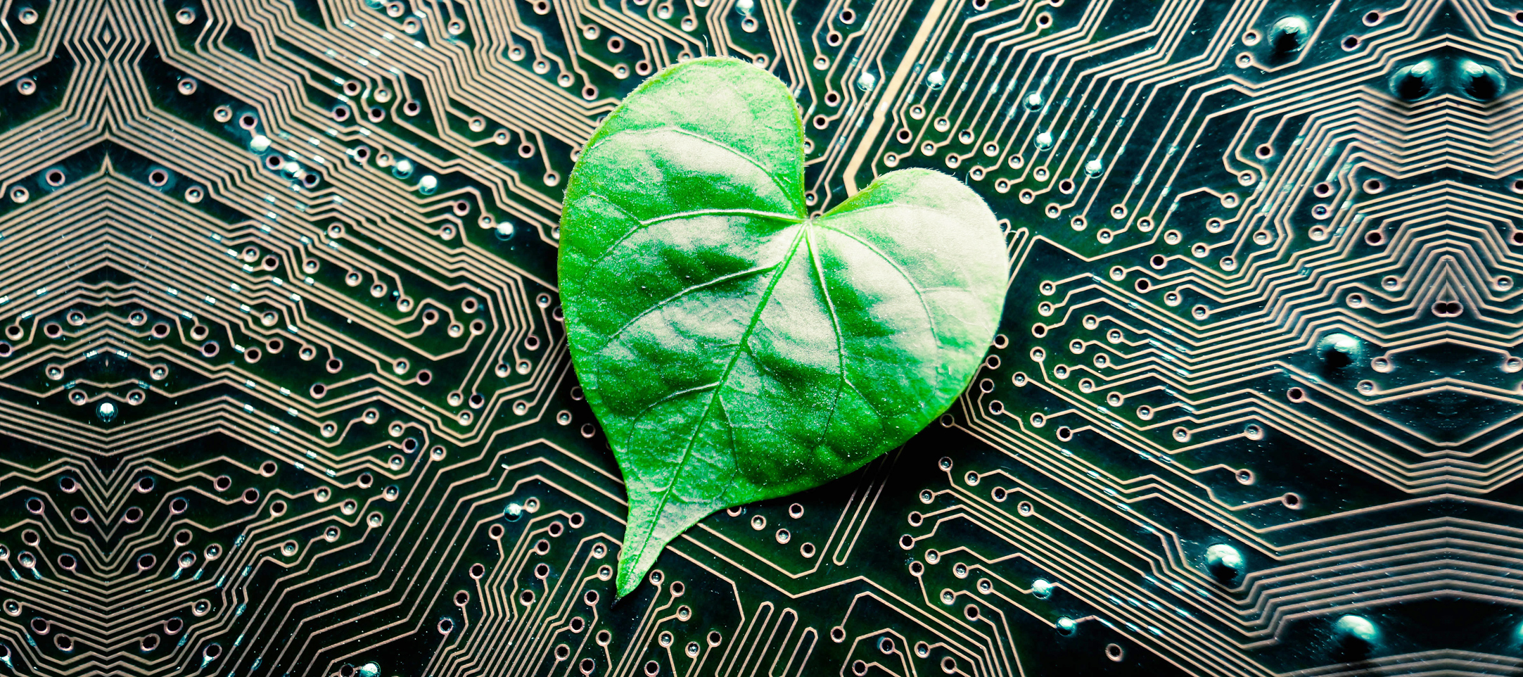 عکس خبر تاثیر ICT بر زندگی مردم
