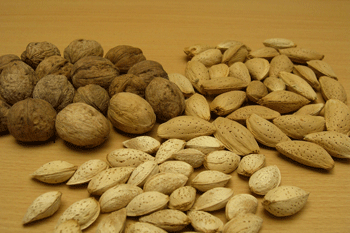 عکس بادام و گردو